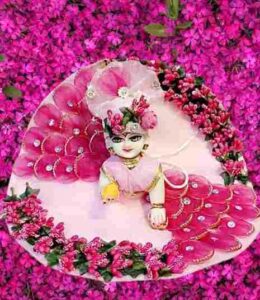 Amazon Sk Ladu Gopal Pink Designer Dress